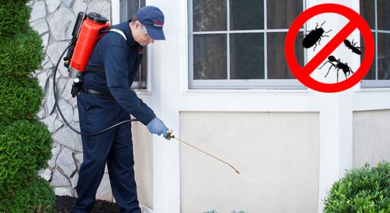 Mutki Tahtakurusu İlaçlama böcek ilaçlama ve haşere kontrolü — ilaclama-tr.com